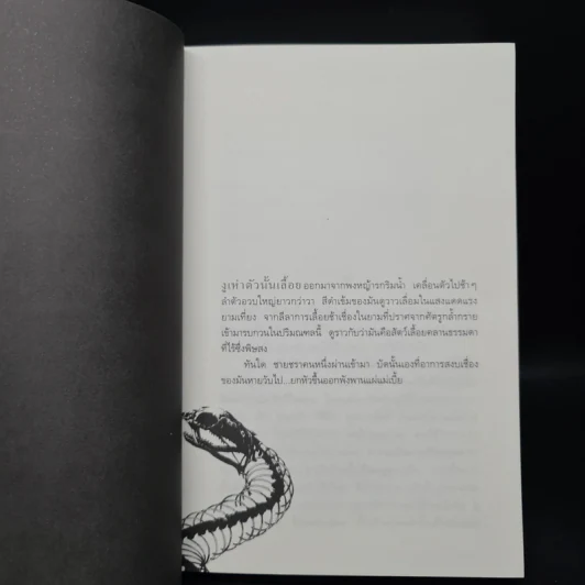 แม่เบี้ย - วาณิช จรุงกิจอนันต์ รูปที่ 6