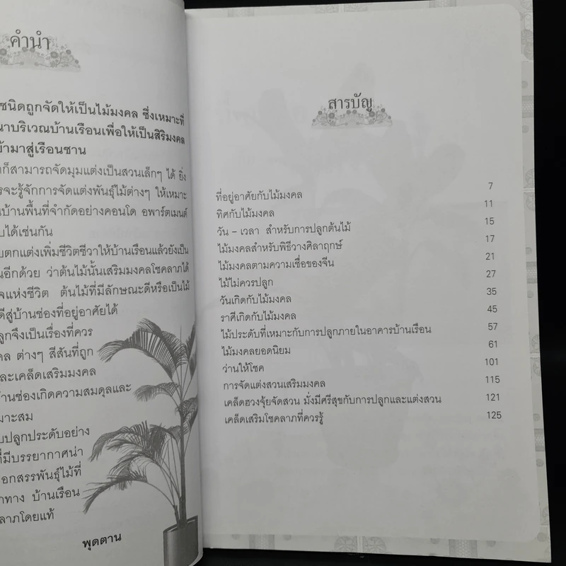 ปลูกไม้มงคล จัดสวนโชคลาภ - พุดตาน รูปที่ 6