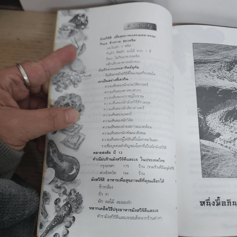 ทำเนียบร้านมังสวิรัติและเจในประเทศไทย รูปที่ 4