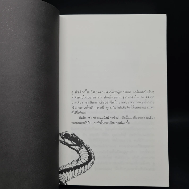 แม่เบี้ย - วาณิช จรุงกิจอนันต์ รูปที่ 6