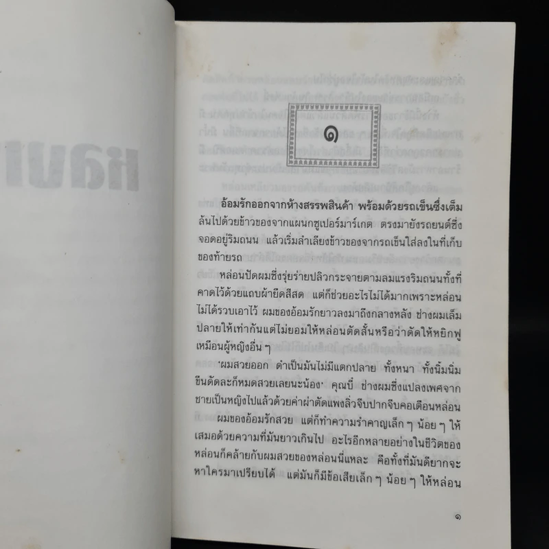หลงเงา - ว.วินิจฉัยกุล รูปที่ 6