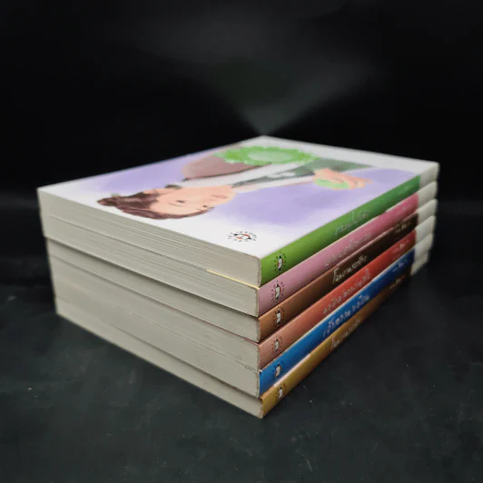 นิยายแจ่มใส Boxset ชุด เรือนพิทักษ์ใจ 6 เล่ม รูปที่ 7