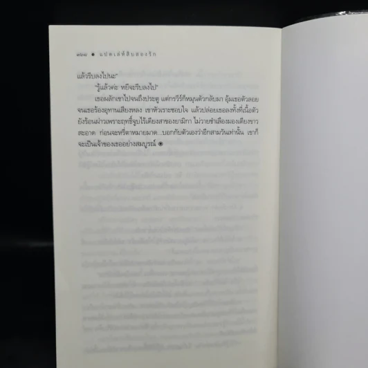 แปดเล่ห์สิบสองรัก - ณารา รูปที่ 7