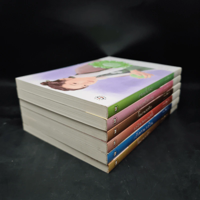 นิยายแจ่มใส Boxset ชุด เรือนพิทักษ์ใจ 6 เล่ม รูปที่ 7