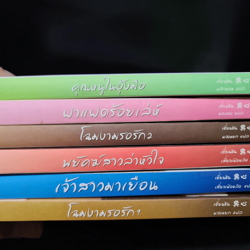 นิยายแจ่มใส Boxset ชุด เรือนพิทักษ์ใจ 6 เล่ม รูปที่ 8