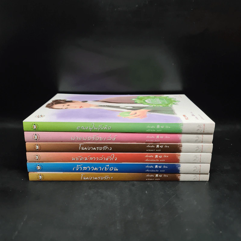 นิยายแจ่มใส Boxset ชุด เรือนพิทักษ์ใจ 6 เล่ม รูปที่ 5