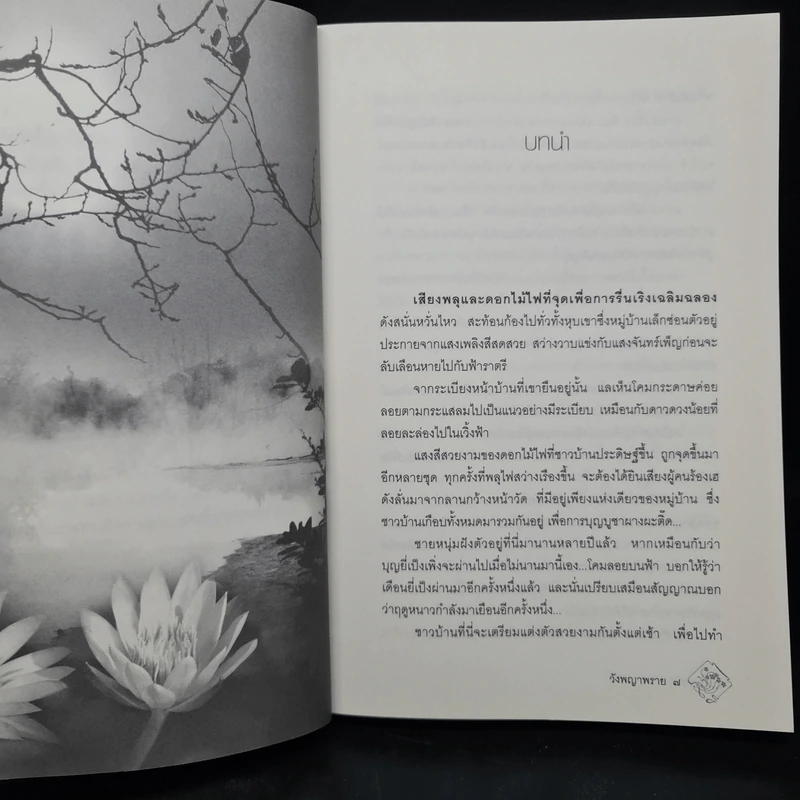 วังพญาพราย - พงศกร รูปที่ 6