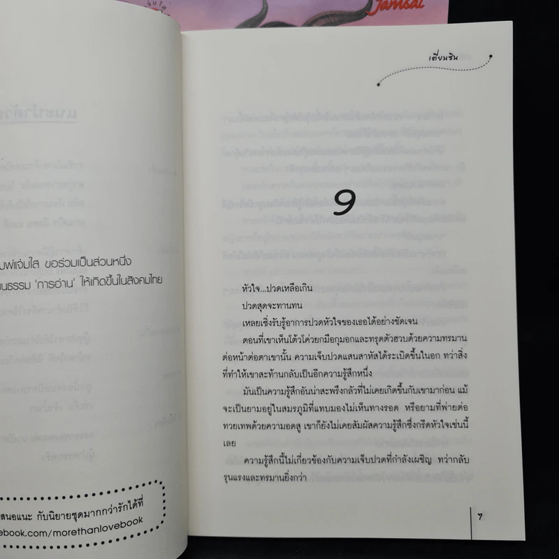 นิยายแจ่มใส ราชันมังกร 2 เล่มจบ - เตี่ยนซิน รูปที่ 9