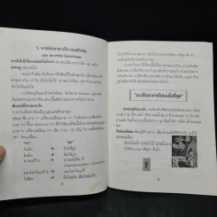 การให้คำแนะนำผู้ป่วยแนวทางชีวจิต - ดร.สาทิส อินทรกำแหง รูปที่ 5