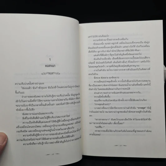 Box Set Vampire Twilight เล่ม 1-5 รูปที่ 9