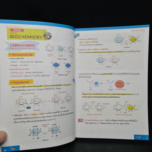Biofocus สรุปเนื้อหาชีววิทยา - อ.นภัทร ปราบมีชัย รูปที่ 7