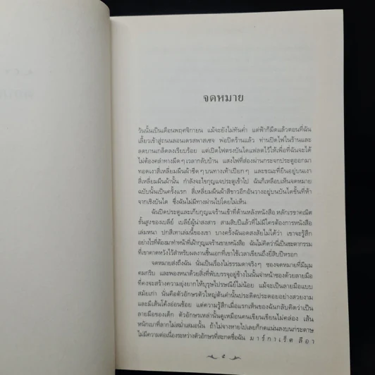 นิยายที่หายไป - ไดแอน เซตเตอร์ฟีลด์ รูปที่ 6