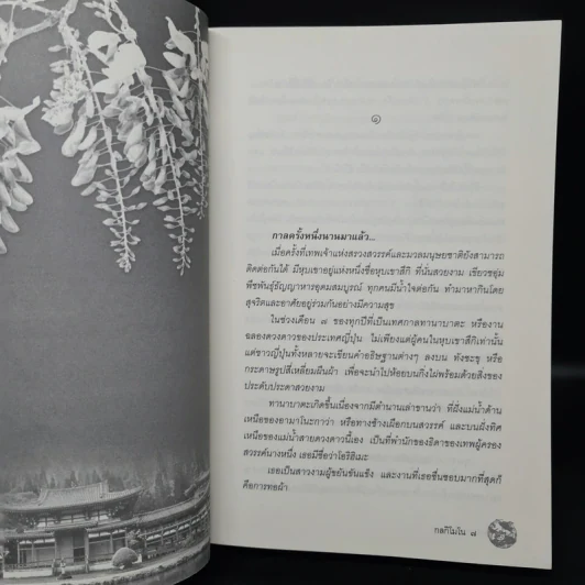 กลกิโมโน - พงศกร รูปที่ 6