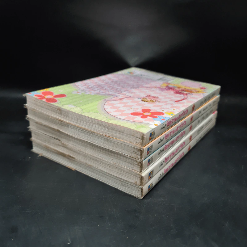 เคล็ดลับวัยหวานของสาววัยใส เล่ม 1-5 รูปที่ 4