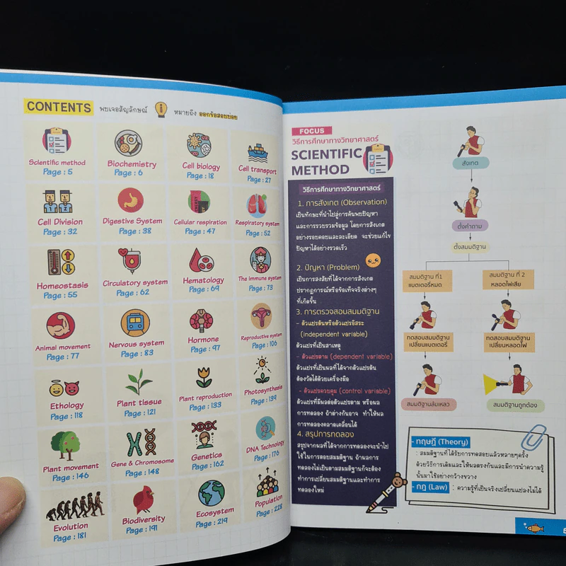 Biofocus สรุปเนื้อหาชีววิทยา - อ.นภัทร ปราบมีชัย รูปที่ 6