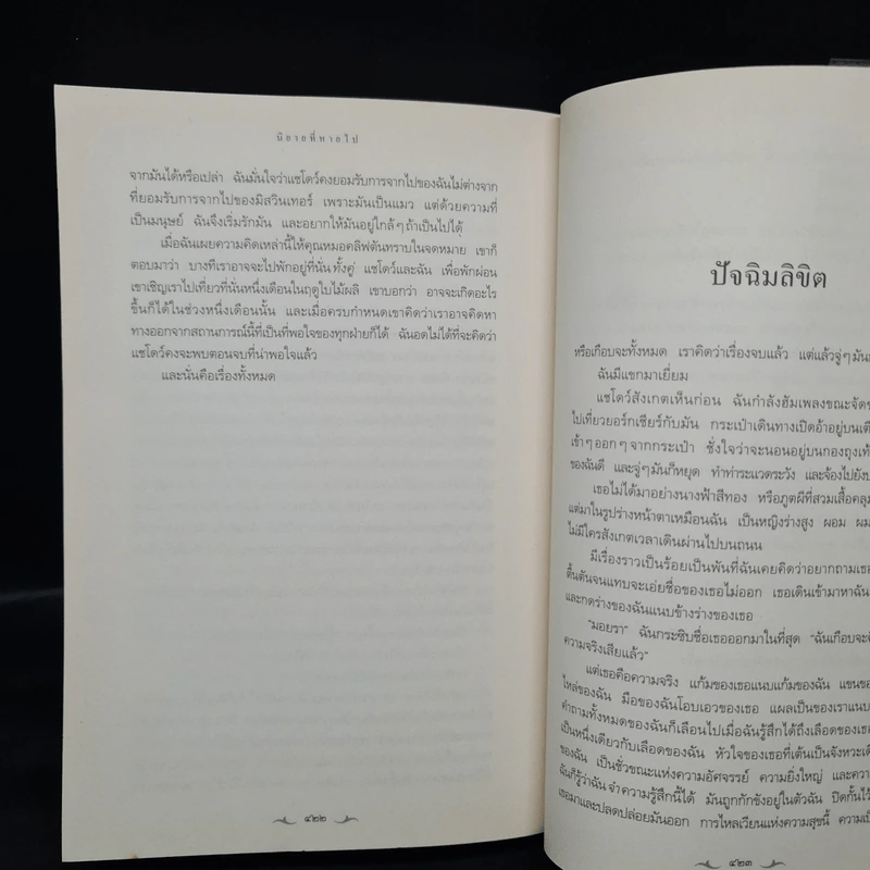 นิยายที่หายไป - ไดแอน เซตเตอร์ฟีลด์ รูปที่ 7