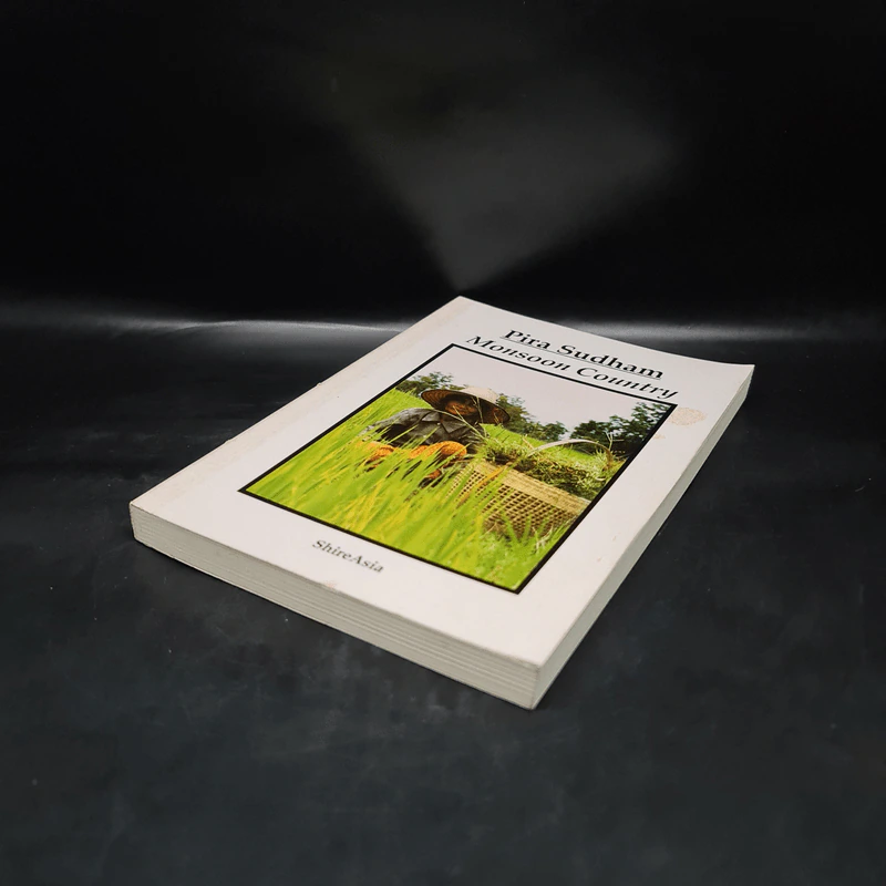 Monsoon Country - Pira Sudham รูปที่ 4