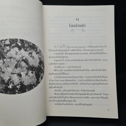 อกเกือบหักแอบรักคุณสามี - นาวาร้อยกวี รูปที่ 6