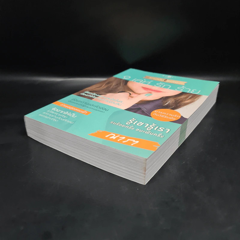 How To Love รักฉบับเซเลบ : 9 เล่ห์ รัก ร้าย - ณารา รูปที่ 4