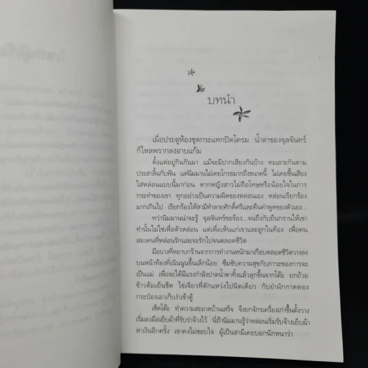พรายปรารถนา - กิ่งฉัตร รูปที่ 6