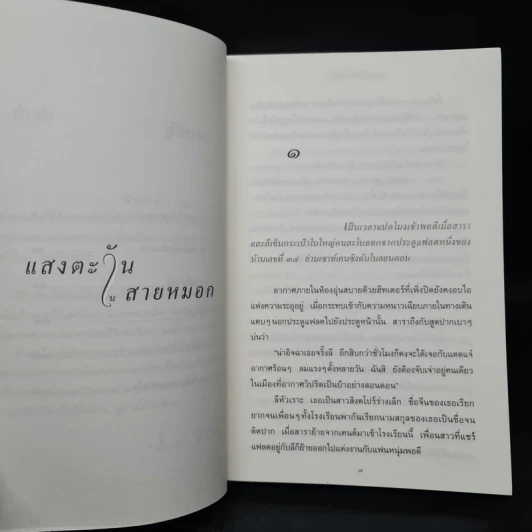 แสงตะวันในสายหมอก - ปิยะพร ศักดิ์เกษม รูปที่ 7