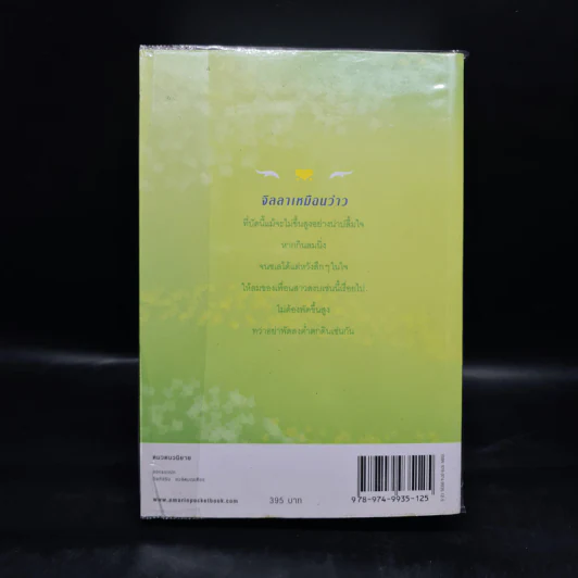 ลำเนาลม - กิ่งฉัตร รูปที่ 2