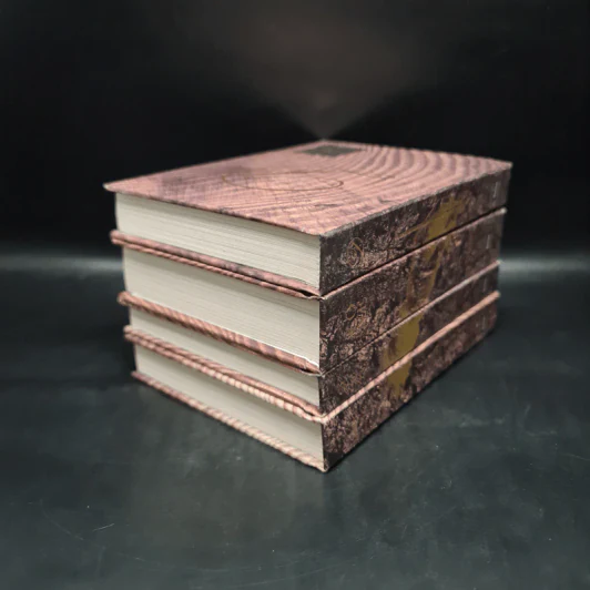 ชุด Box Set 10 ปีนิ้วกลม (ปกแข็ง 4 เล่ม) - นิ้วกลม รูปที่ 8
