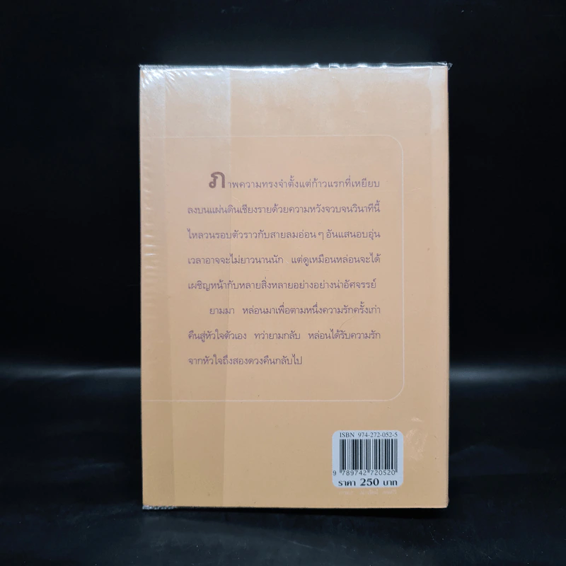 ตามรักคืนใจ - กิ่งฉัตร รูปที่ 2