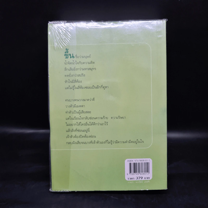 ในเรือนใจ - กิ่งฉัตร รูปที่ 2