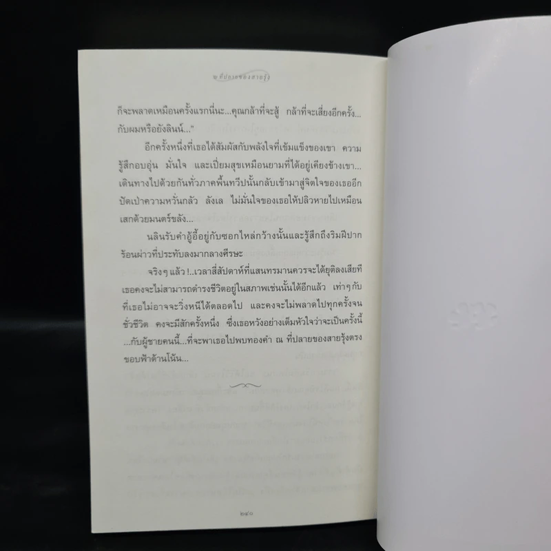 แสงตะวันในสายหมอก - ปิยะพร ศักดิ์เกษม รูปที่ 8