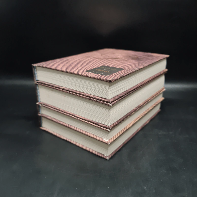 ชุด Box Set 10 ปีนิ้วกลม (ปกแข็ง 4 เล่ม) - นิ้วกลม รูปที่ 7