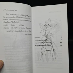 พลังแห่งพืชสมุนไพร โสม - กอไชย โตศิริโชค รูปที่ 7