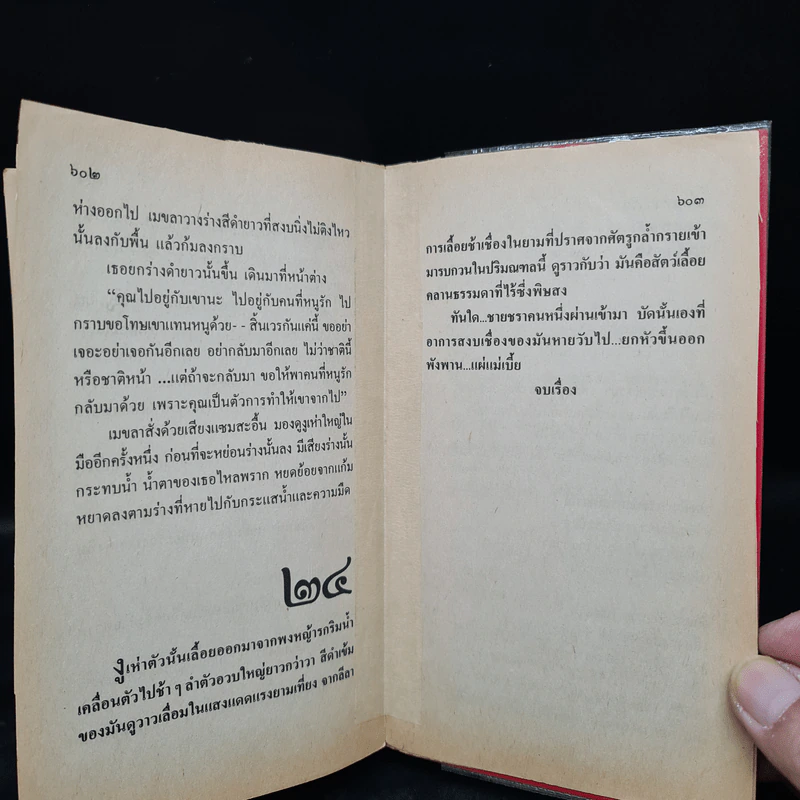 แม่เบี้ย - วาณิช จรุงกิจอนันต์ รูปที่ 6
