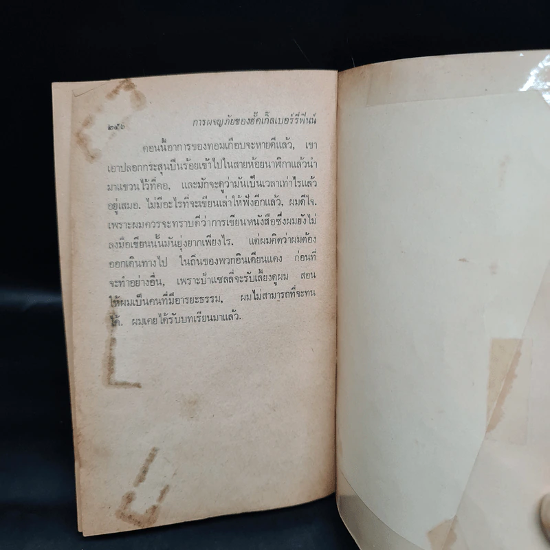 การผจญภัยของฮัคเกิ้ลเบอร์รี่ฟินน์ - มาร์ค ทเวน รูปที่ 6