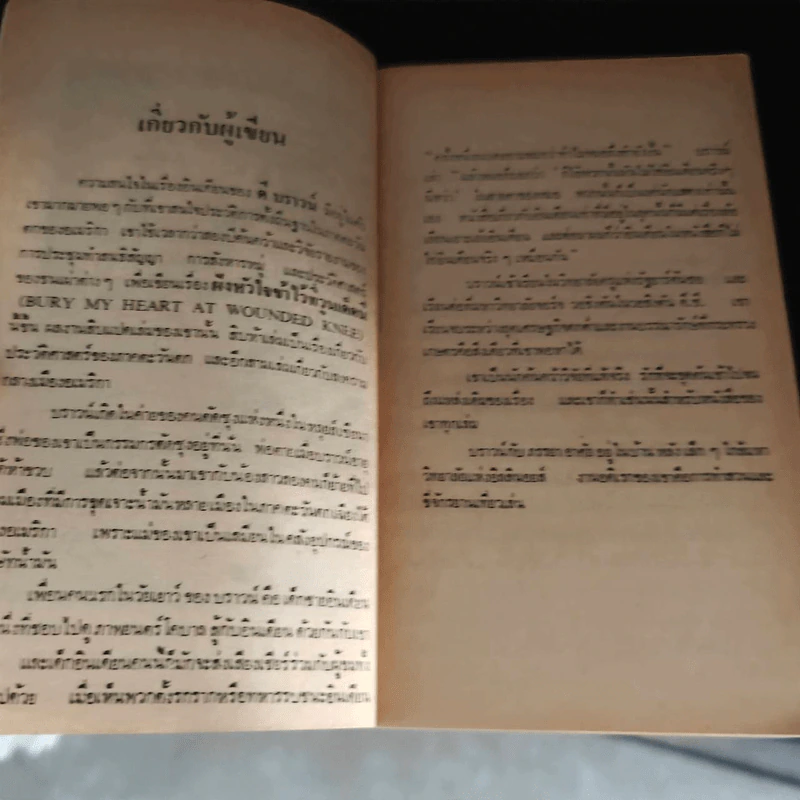 ฝังหัวใจข้าไว้ที่วูนเด็ดนี - ดี บราวน์ รูปที่ 9