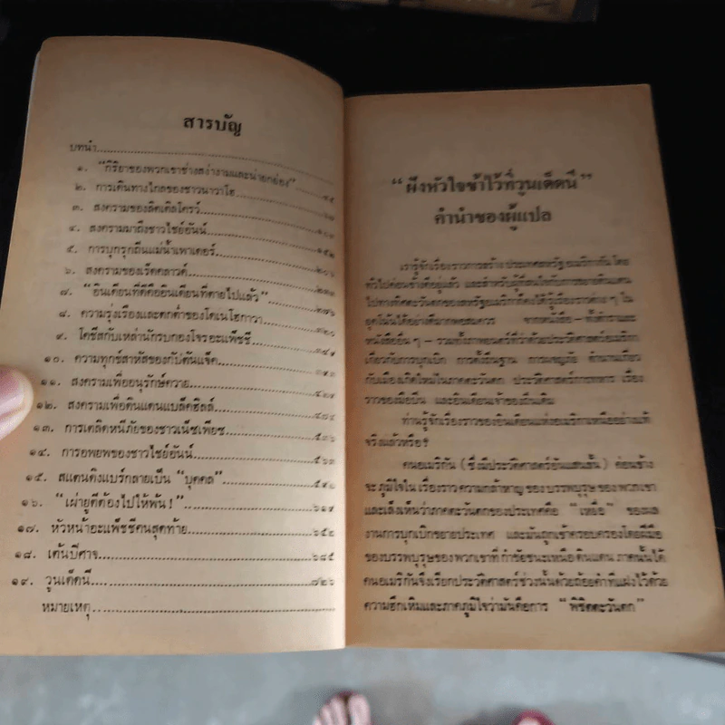 ฝังหัวใจข้าไว้ที่วูนเด็ดนี - ดี บราวน์ รูปที่ 10