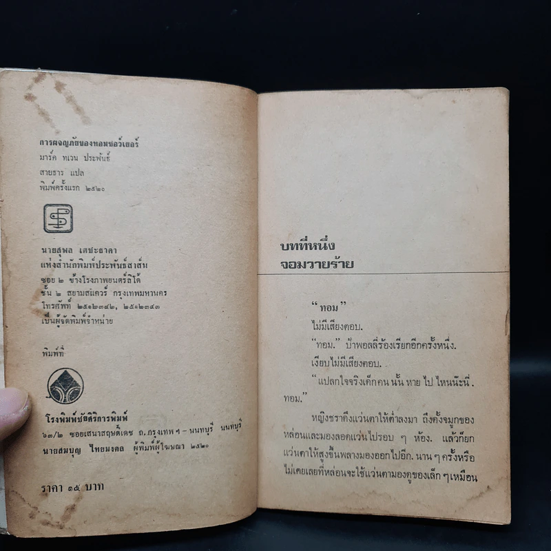 การผจญภัยของทอม ซอว์เยอร์ - มาร์ค ทเวน (Mark Twain) รูปที่ 5
