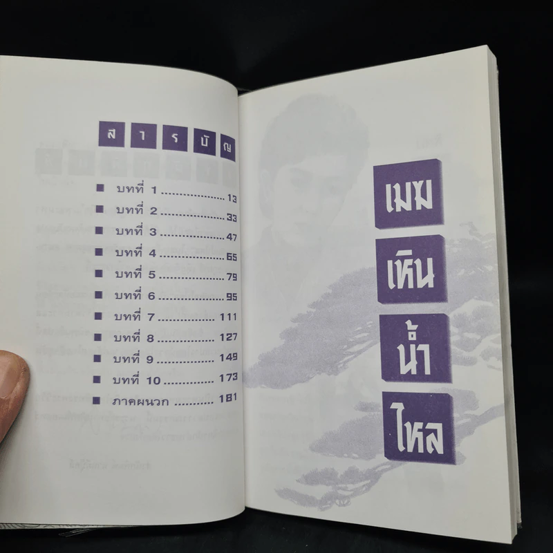 เมฆเหิน น้ำไหล - สมเด็จพระเทพรัตนราชสุดาฯ รูปที่ 6