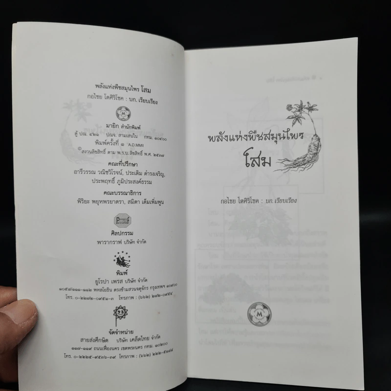 พลังแห่งพืชสมุนไพร โสม - กอไชย โตศิริโชค รูปที่ 5