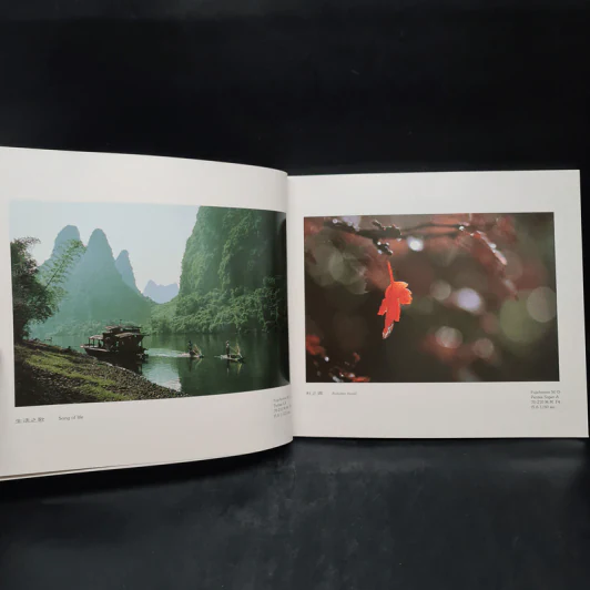 สายหมอก ดอกเหมย Beautiful​ China รูปที่ 6