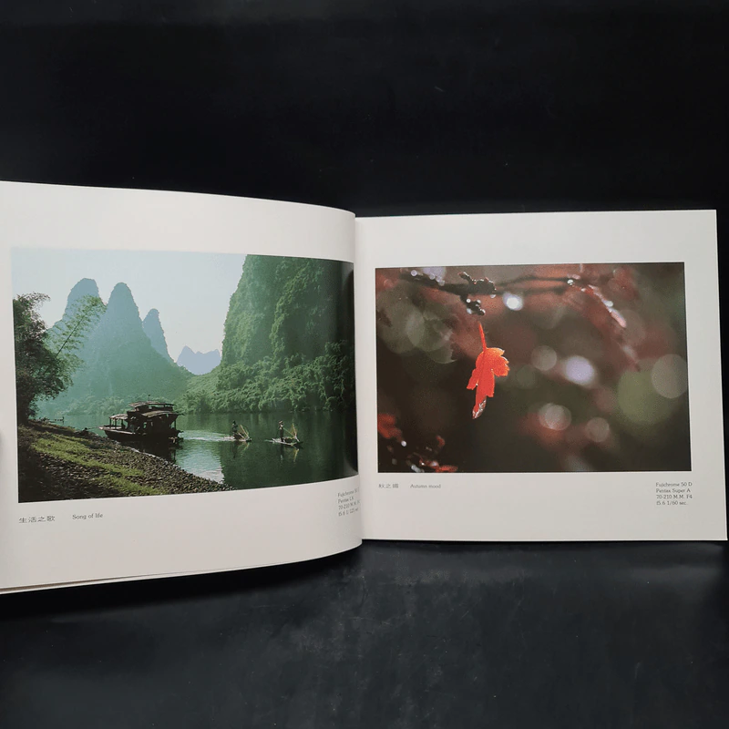 สายหมอก ดอกเหมย Beautiful​ China รูปที่ 6