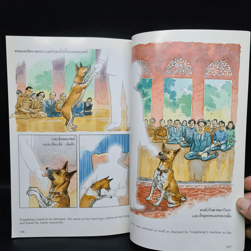 เรื่องทองแดง The Story of Tongdaeng ฉบับการ์ตูน ภาพสี รูปที่ 7