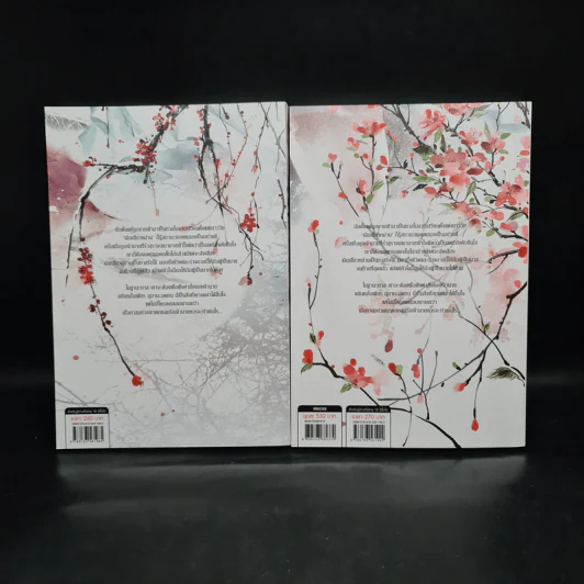 Box Set นิยายวาย ทาสรักอ๋องโฉด 2 เล่มจบ รูปที่ 5