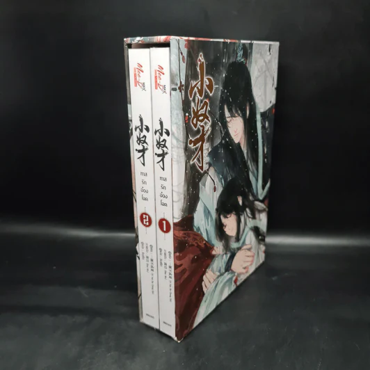 Box Set นิยายวาย ทาสรักอ๋องโฉด 2 เล่มจบ รูปที่ 1
