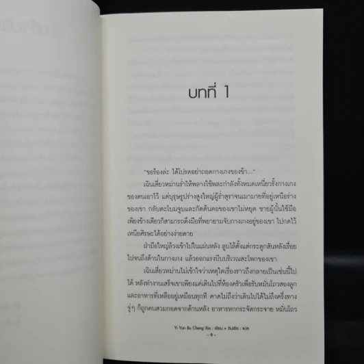Box Set นิยายวาย ทาสรักอ๋องโฉด 2 เล่มจบ รูปที่ 8