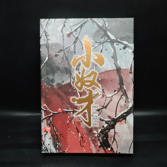 Box Set นิยายวาย ทาสรักอ๋องโฉด 2 เล่มจบ รูปที่ 3