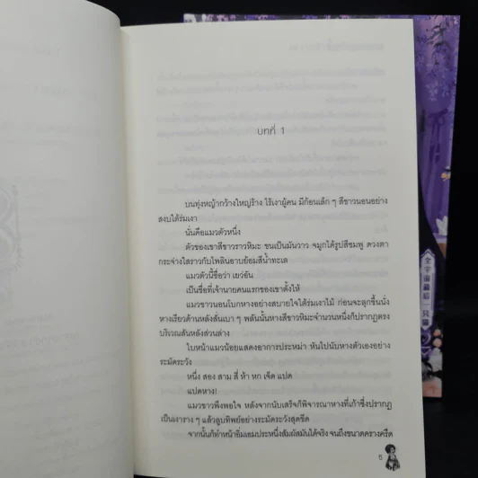 นิยายวาย แมวตัวสุดท้ายในจักรวาล 2 เล่มจบ - จุ้ยหยิ่นฉางเกอ รูปที่ 7