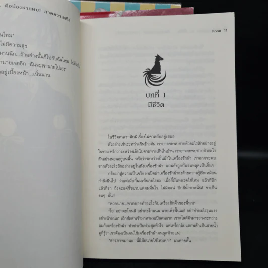 Seven Brothers นี่หรือคือน้องชายผม เล่ม 1-3 - Roon รูปที่ 8
