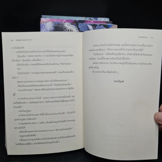 นิยายวาย ในวันที่ตัวสำรองจากไป 4 เล่มจบ - เสียนอวี๋ต้าฉีกวา รูปที่ 8