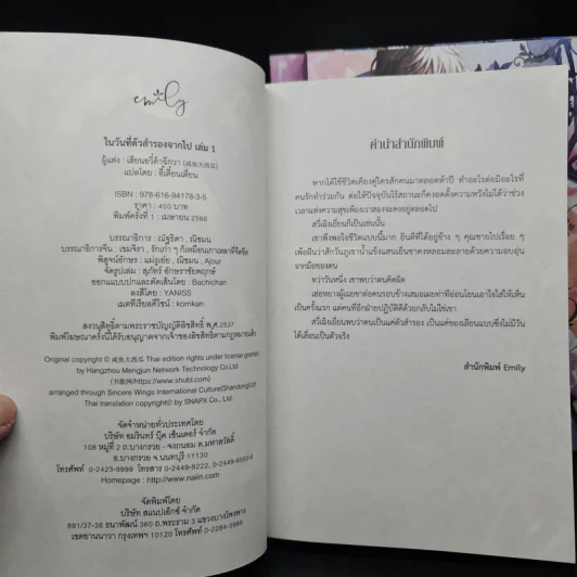 นิยายวาย ในวันที่ตัวสำรองจากไป 4 เล่มจบ - เสียนอวี๋ต้าฉีกวา รูปที่ 5